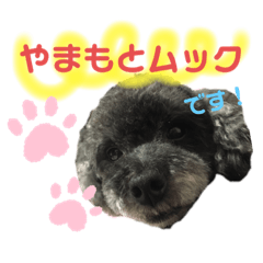 miki_20210328124806