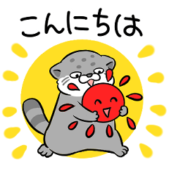 Manul cat greeting BIG sticker