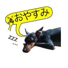 toy manchester terrier & yellow balloon