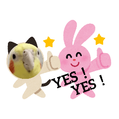 Miki_20210328145411