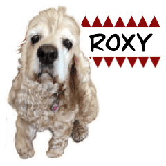 アメリカンコッカースパニエルのroxy Lineクリエイターズスタンプ Stamplist アメリカンコッカースパニエルのroxy Lineクリエイターズスタンプ Stamplist
