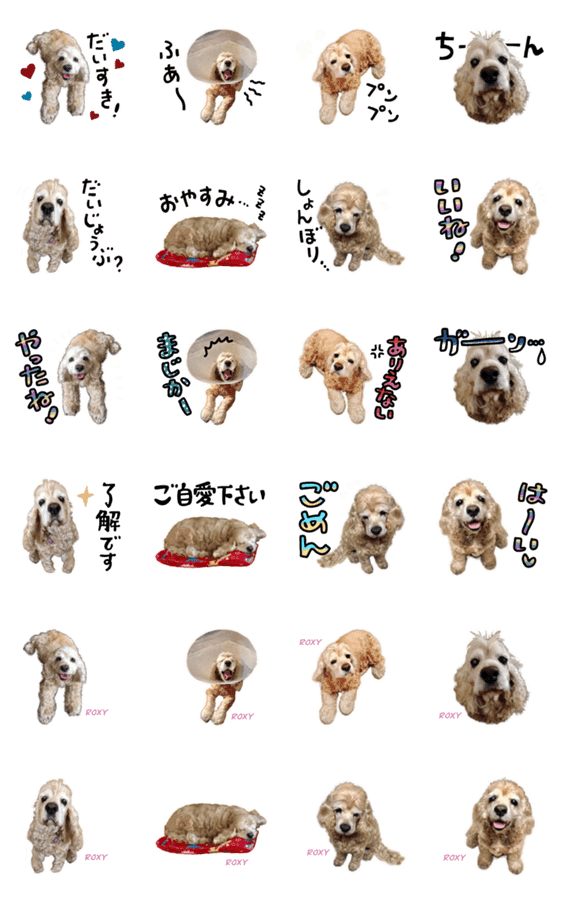 アメリカンコッカースパニエルのroxy Lineクリエイターズスタンプ Stamplist アメリカンコッカースパニエルのroxy Lineクリエイターズスタンプ Stamplist