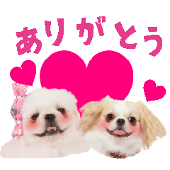 Suzu & Kohaku Sticker