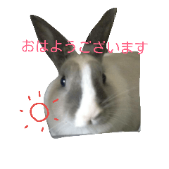 可愛いアイドル Line スタンプ Line Store