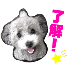 miki_20210328164602