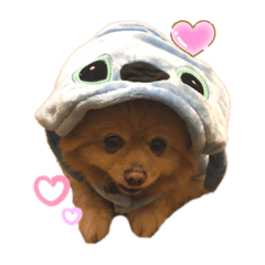 Lily Little Doggie 2