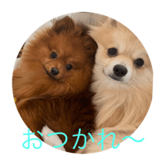 cherry_20210328192835