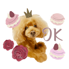 roi__coton stickers