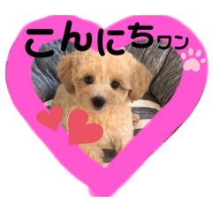 CoCoA_20210328202859