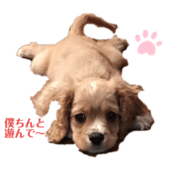 Arisa_20210328202719