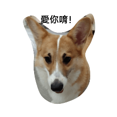 小樂日常生活
