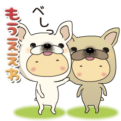 The kansai french bull-dogs