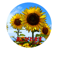 花言葉的なスタンプ 夏の花 Line スタンプ Line Store