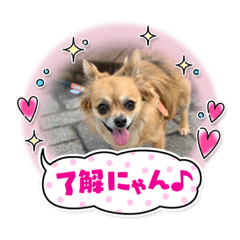 chie_20210329095422