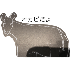 okapi_20210329121032