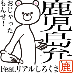 Kagoshima-ben Real Polar Bear