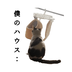 saya_20210329152617