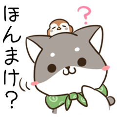 shiba inu &  sparrow of Nara dialect