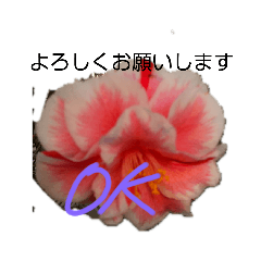 michiko_20210329154610