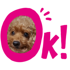 cocoa_20210329200850