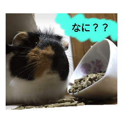 mini_20210329231447
