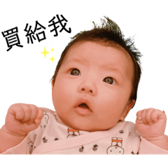 小紅豆寶寶的日常