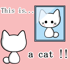 This is a cat!!