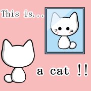 This is a cat!!