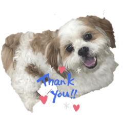 Panda_20210329190049