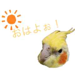 ayumi_20210330114319