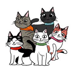 5 unique cats