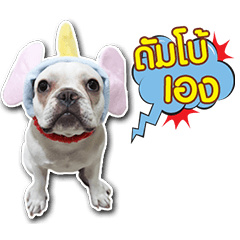 Dumbo.thefrenchfries