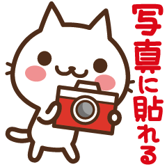 Cats in the can / Photo sticker