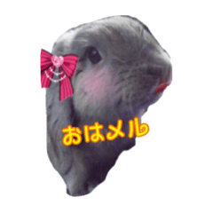 Melcoco's sticker