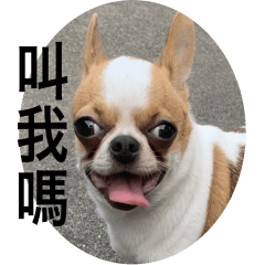 百變妞