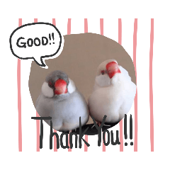 birdLoveSTAMP