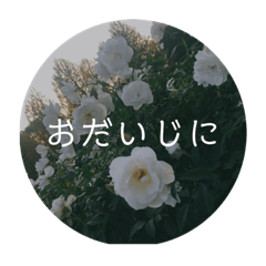 KoToNoHa_FLOWER  Japanese ver.