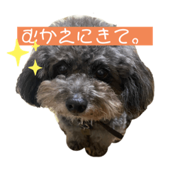 yamada_20210330141814