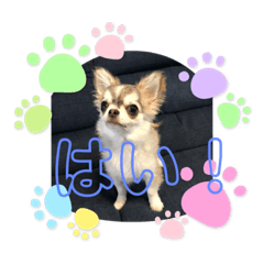 Hona_20210330143456