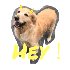 Honey033