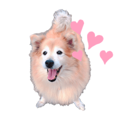 chihiro_20210330153414