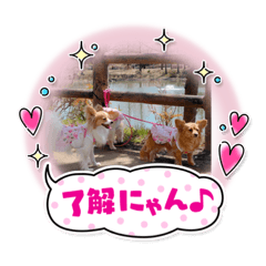 yukari_20210330172143