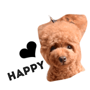 Mee sticker(Toy poodle)2