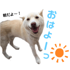 chihiro_20210330171925