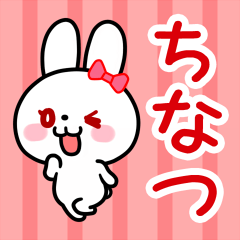 The white rabbit with ribbon "Chinatsu"
