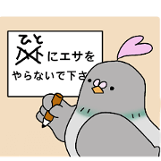 Pigeon's Popoo4