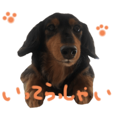 suzu_20210330230323