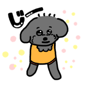 Puu_20210330231206