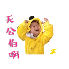 肉肉的日常生活