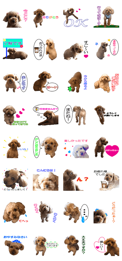 DOG [Photo] Sticker